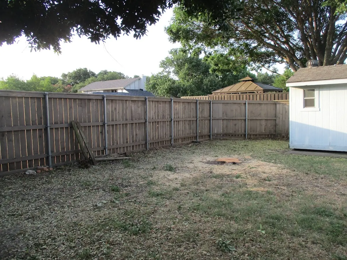 Cleared yard after professional tree removal in Fort George G Meade